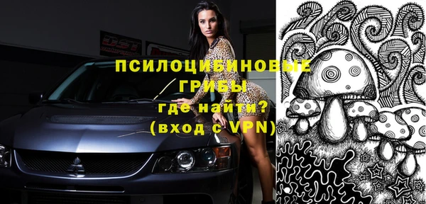 не бодяженный Бородино