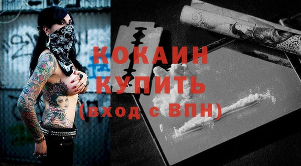 не бодяженный Бородино