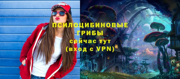 ГАЛЛЮЦИНОГЕННЫЕ ГРИБЫ Бугульма