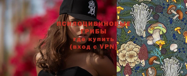 ГАЛЛЮЦИНОГЕННЫЕ ГРИБЫ Бугульма